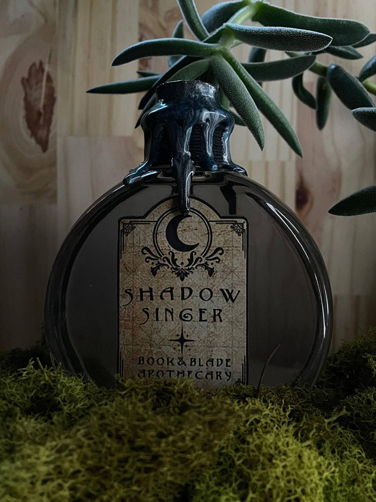 Bookish potions/book shelf decor