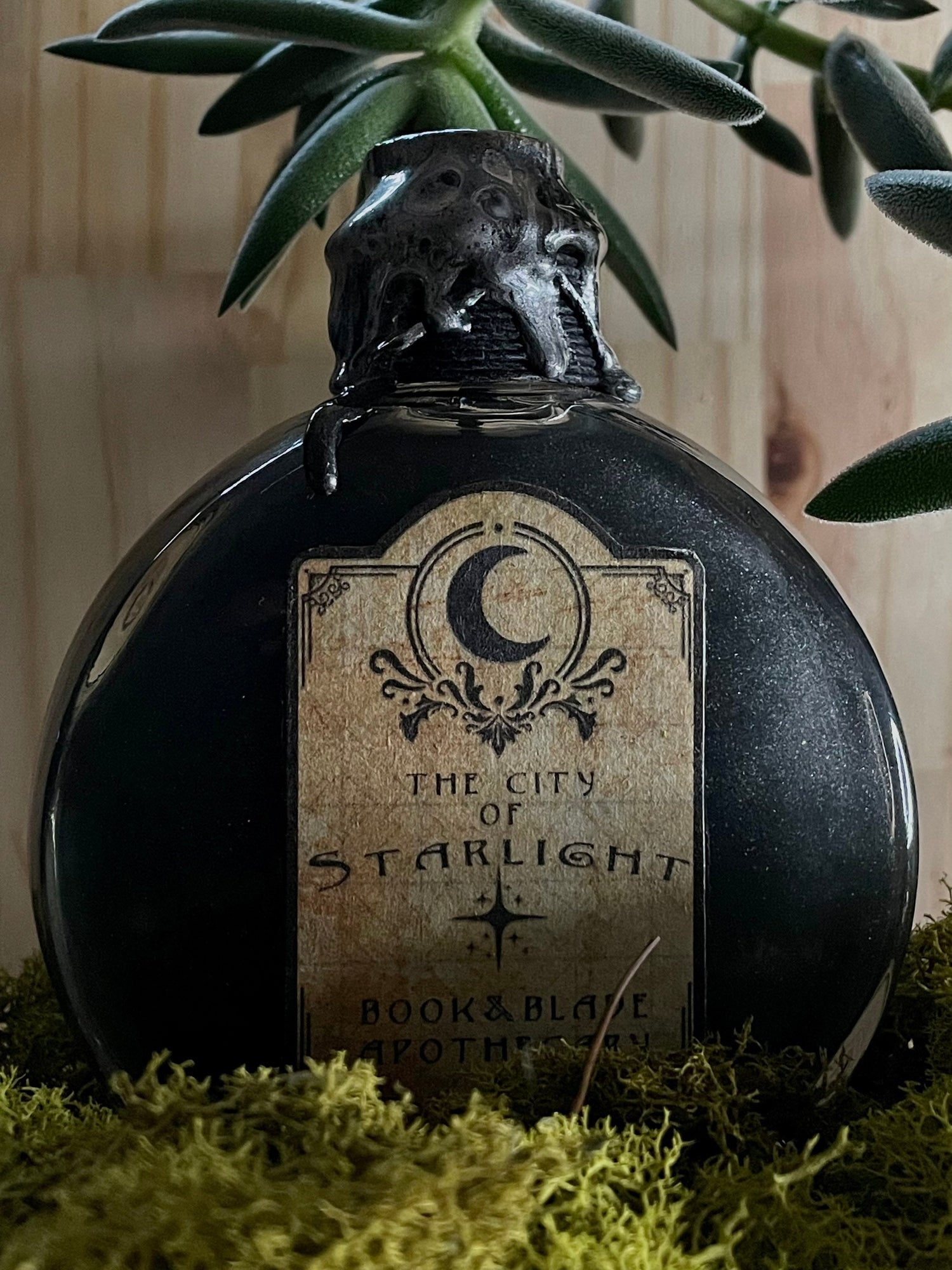 Bookish potions/book shelf decor